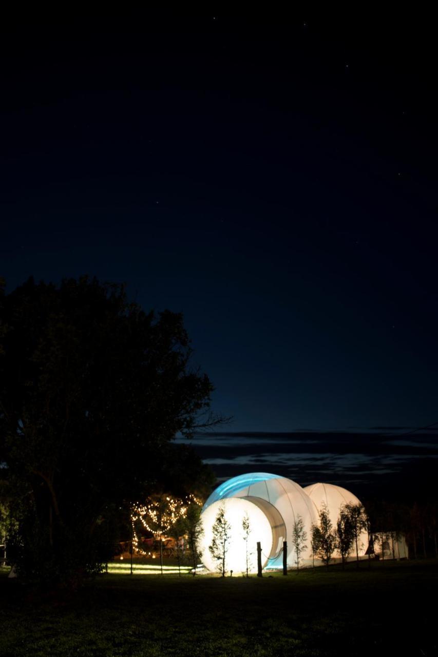ホテルAlbarari Dorneda エクステリア 写真